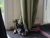 Tayah  Bes.: Susi Seiz