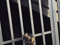 da ist jemandem sehr wohl  Bes.: Susi Seiz