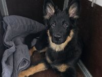 Tayah  Bes.: Susi Seiz