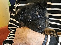 6 Wochen alt  Besuch im Pflegeheim