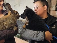 7,5 Wochen  Besuch auf dem Bauernhof