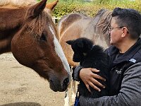 7,5 Wochen  auf dem Bauernhof