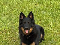 Quan  Bes.: Karin Bieri