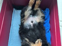 Quan  Bes.: Karin Bieri