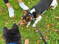 Quan und Fynn  Bes.: Karin Bieri