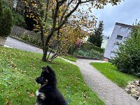 Quan  Bes.: Karin Bieri