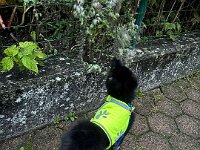 Quan  Bes.: Karin Bieri