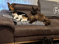 Quan und Freunde  Bes.: Karin Bieri