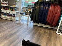 Quan im Meiko  Bes.: Karin Bieri