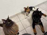 Freunde  Bes.: Karin Bieri