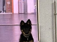 Eingangskontrolle!  Bes.: Karin Bieri