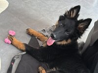 Quan  Bes.: Karin Bieri