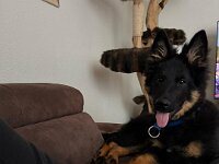 Quan  Bes.: Karin Bieri