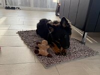 Quan  Bes.: Karin Bieri