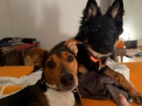 Fynn und Quan  Bes.: Karin Bieri