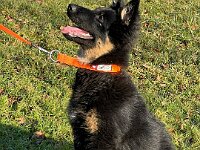 Quan  Bes.: Karin Bieri