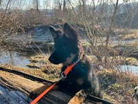 Quan  Bes.: Karin Bieri