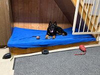 Quan  Bes.: Karin Bieri