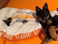 Aufstehen??  Bes.: Karin Bieri