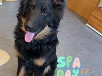 Quan  Bes.: Karin Bieri