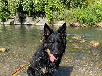 Quan  Bes.: Karin Bieri