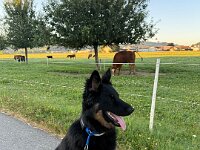 Quan  Bes.: Karin Bieri