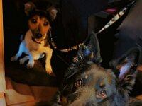 Fynn und Quan  Bes.: Karin Bieri