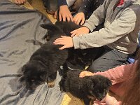 Besuch im Kindergarten  Bes.: Sonja Item