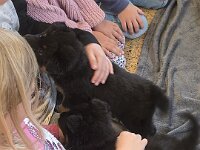 Besuch um Kindergarten  Bes.: Sonja Item