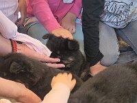 Besuch im Kindergarten  Bes.: Sonja Item