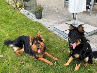 Ray Kinai und Dayko vom Eibenholz