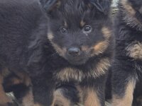 Rio  Bes.: Jael Bosson