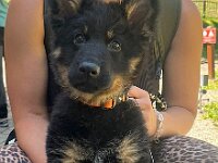 Rio  Bes.: Jael Bosson