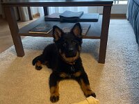 Rio  Bes.: Jael Bosson