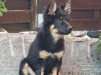 Sam  Bes.: Antoinette Kempf und Christoph Meppiel