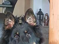 Sam  Bes.: Antoinette Kempf und Christoph Meppiel