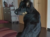 Sam  Bes.: Antoinette Kempf und Christoph Meppiel