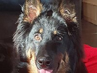 Sam  Bes.: Antoinette Kempf und Christoph Meppiel